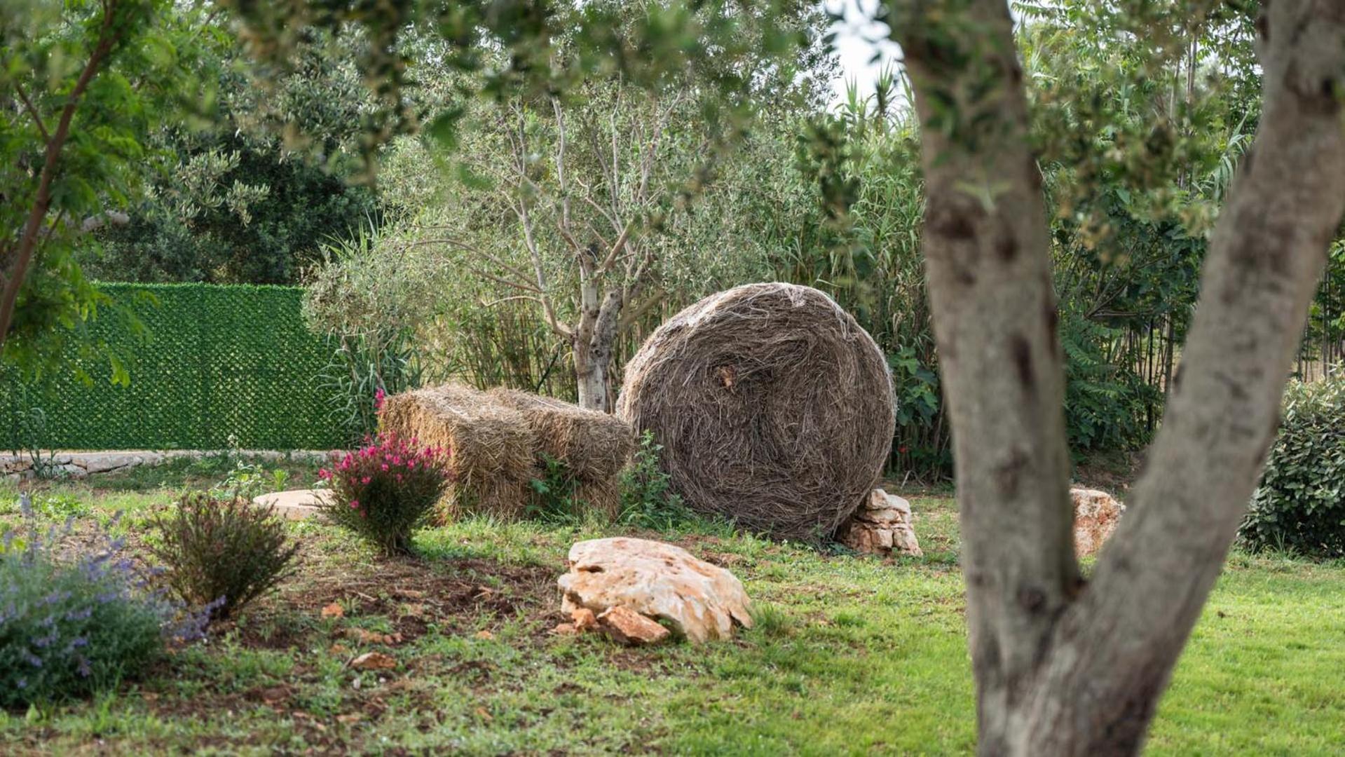 Petranima Wellness In Trulli Bed & Breakfast Ostuni Exterior photo